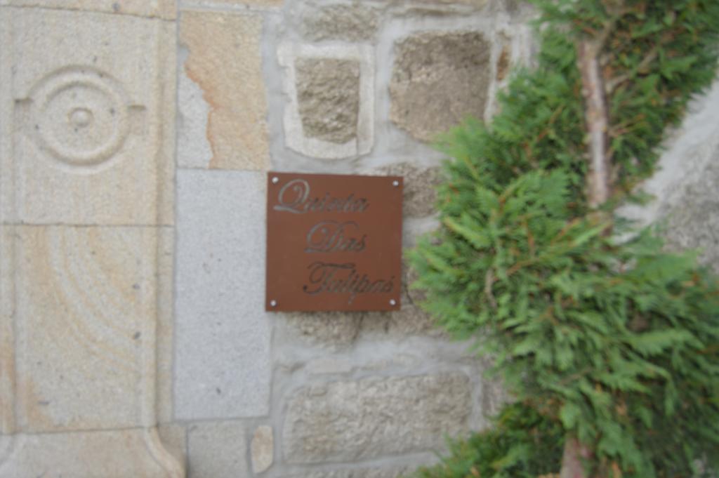 Villa Quinta Das Tulipas à Barcelos Extérieur photo
